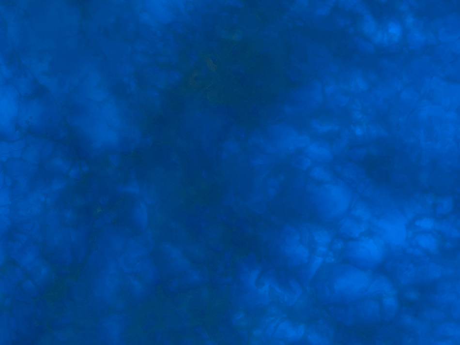 upfiles/202501/14/ac72c27c1cf2b495a.jpg